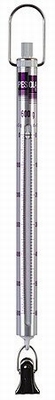 Spring scale 281, 600g/5g, tongs