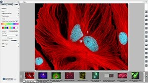 Gekoelde digitale kleurencamera CMEX 5 mp, USB2, Image focus